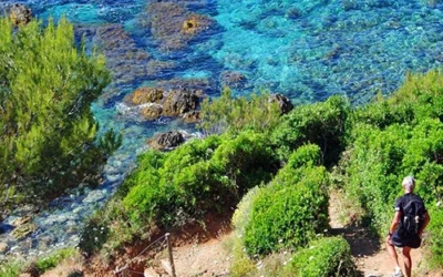 Explorez Porquerolles et Port-Cros