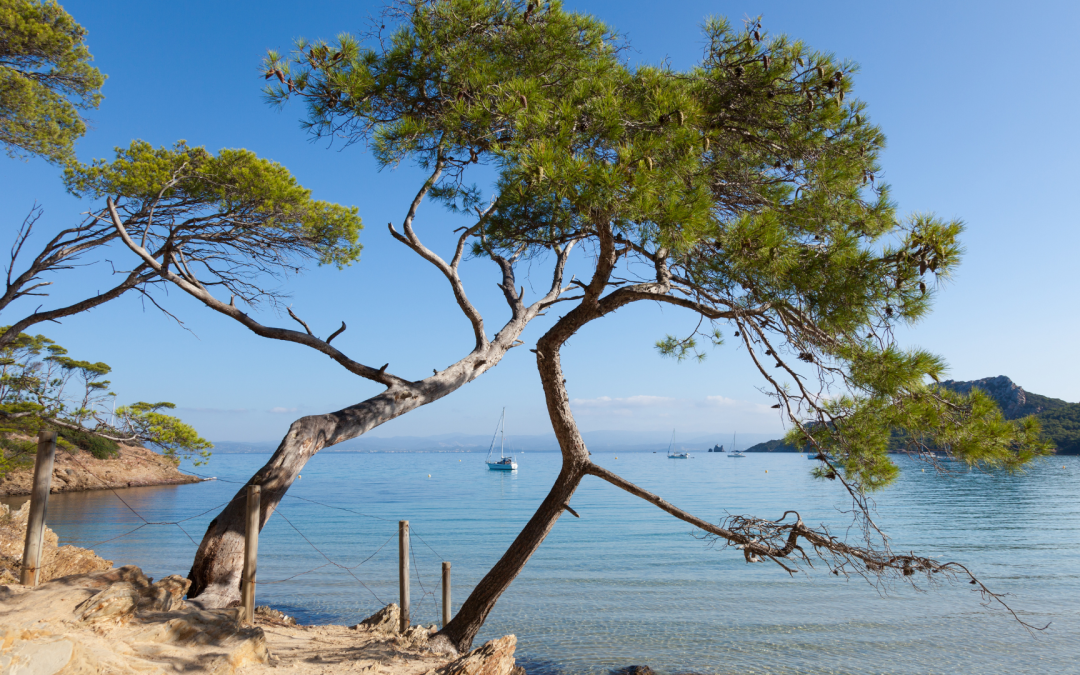 Explorez le Massif des Maures