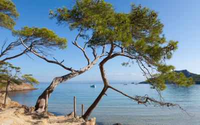 Explorez le Massif des Maures